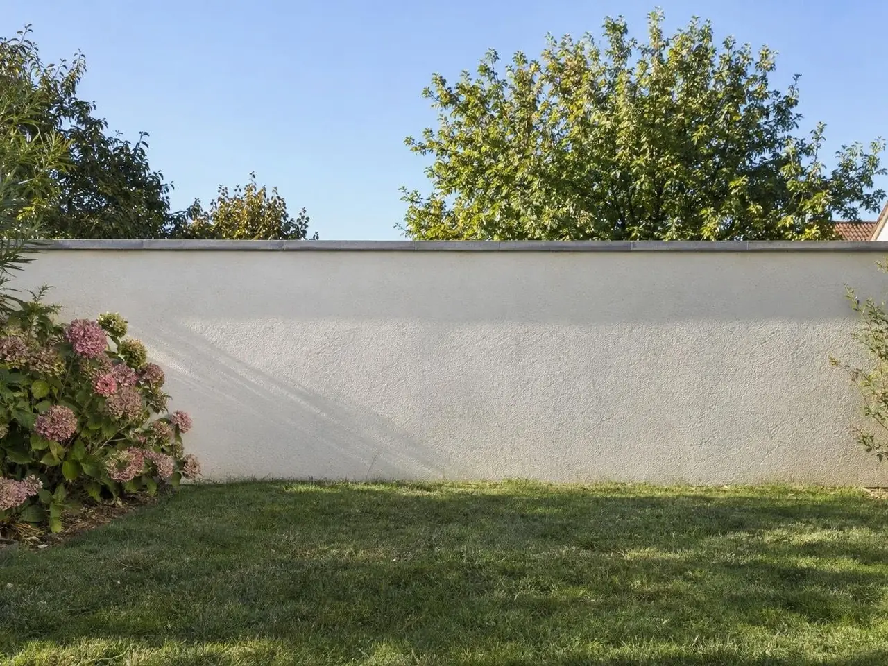 Mur de jardin droit enduit blanc cassé sous son chaperon gris, pelouse au pied, hortensias roses à gauche