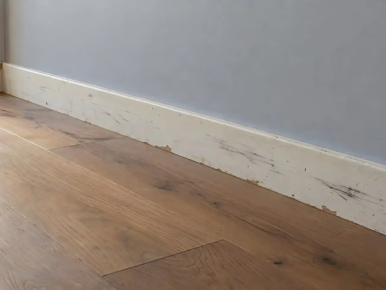 Plinthe blanche jaunie, écaillée jusqu'au bois et rayée d'éraflures noires, au pied d'un mur gris sur parquet en chêne